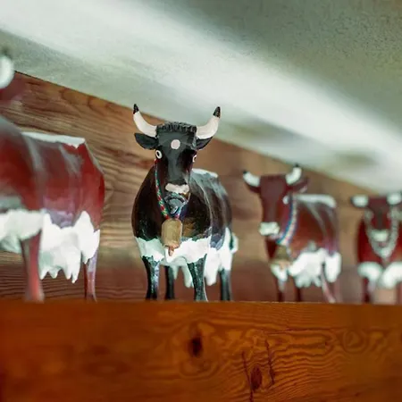 Ferienhaus Haus Wildkarblick 4 Konigsleiten