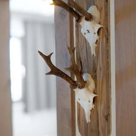 Haus Wildkarblick 4 * Konigsleiten