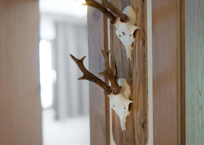 Haus Wildkarblick 4 * Konigsleiten